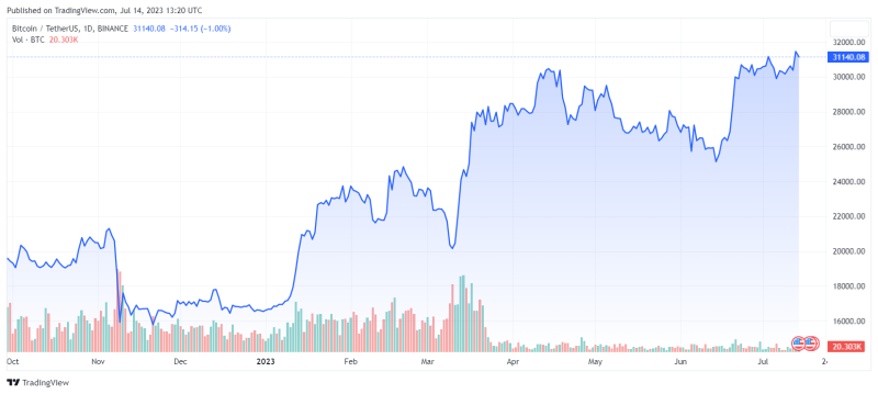 Быки подтолкнули биткоин выше $31 000